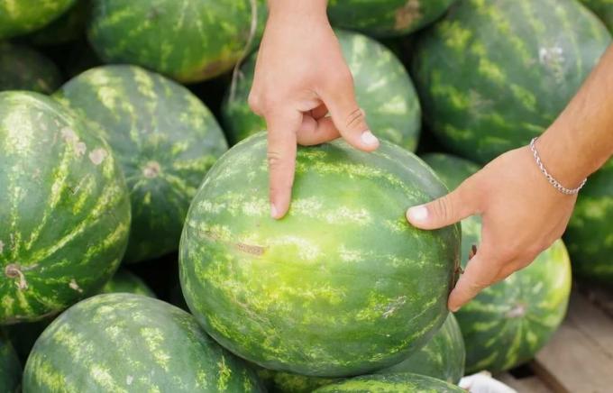 5 viktige tips for å velge vannmelon | ZikZak