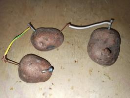 Elektrisitet fra poteter - gjennomføre et enkelt eksperiment