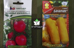 Ekteskap varianter og hybrider av tomater