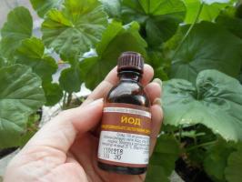 Jod for geranier (Pelargonium): hva det er og hvordan du bruker den?