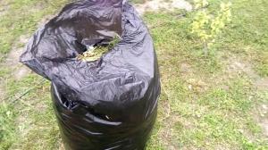 Kompost for 3 måneder i søppelsekker
