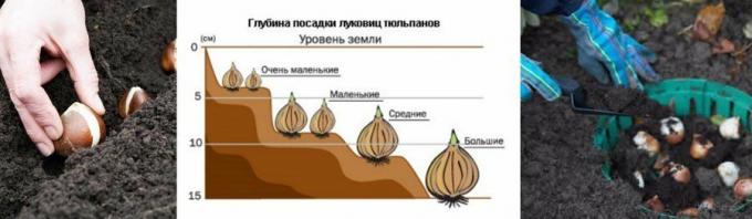 Et illustrerende eksempel på diagrammet. Tatt fra mirfermera.ru