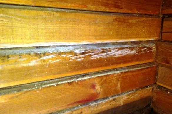 Konklusjon: tømmer huset skal være varm luftgjennomtrengelige isolasjon, for eksempel mineralull.