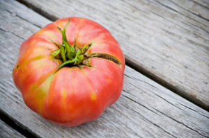 Grow deilige og gode tomater på senger