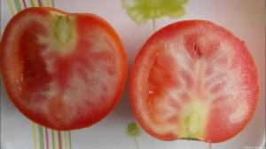 Hvorfor vokser tomater med hvite årer, og hva de skal gjøre