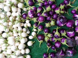 5 uvanlige varianter av aubergine, som vil overraske deg!