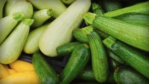 Hva er forskjellen fra zucchini squash.