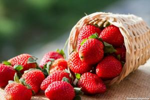 I nærheten av hva avlinger ikke kan være plantet jordbær