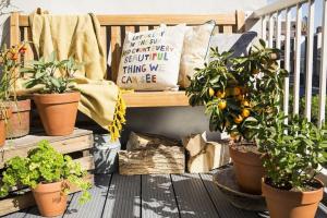 Hvordan dekorere en liten balkong, planter og blomster. 9 nyttige løsninger.