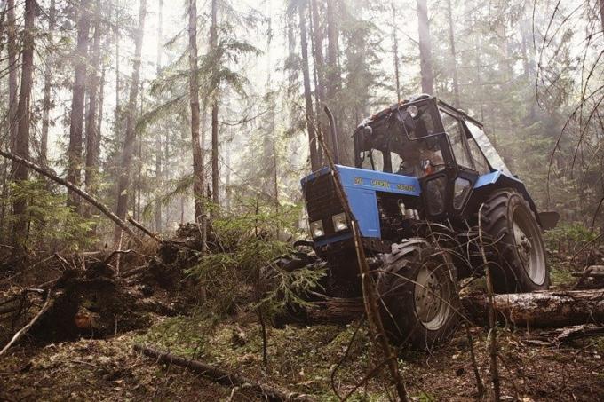 Hviterussland traktor i skogen