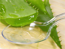 Biogene vekst stimulator: gjødsling innendørs anlegg aloe juice