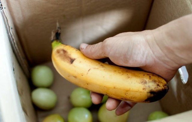 Banana perfekt oppfyller sin funksjon! (Ridoff.ru)