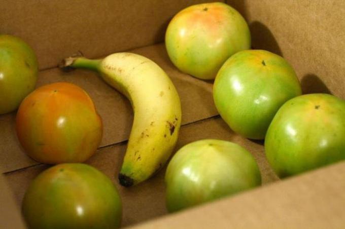 Banan i en boks med grønne tomater | Hagestell og Hagebruk