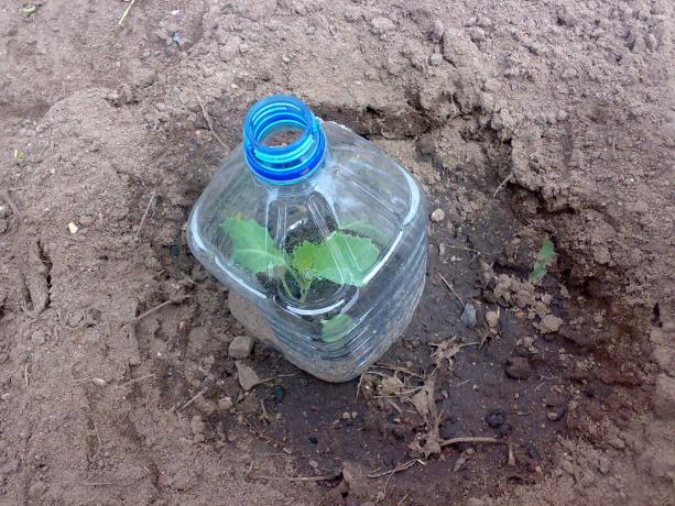 Du kan ta plastflasker på 1,5 liter 