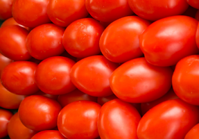 Hvordan å plante tomater. Alltid vennlig skuddene