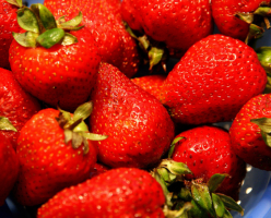 Jordbær. 10 beste variantene