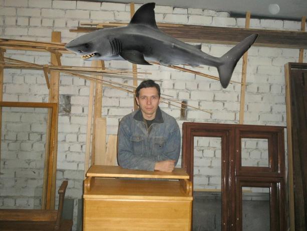 Shark er hentet fra tjenesten Yandex-bilder