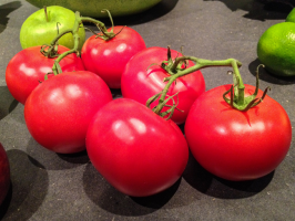 7 beste tomat dverg varianter (utendørs)