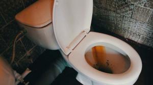Hvordan du raskt og enkelt rydde opp toalettet fra rust og gul plakk?