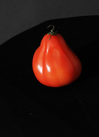 Variasjonen av tomat "Puzata hytte"