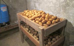 Hvordan du lagrer poteter i leiligheten og huset