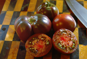 5 varianter av deilige tomater med fiolette toner