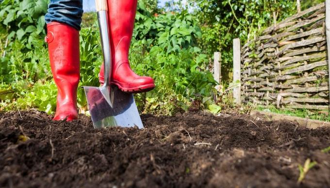 Fordeler og ulemper av å grave i bakken i området | Hagestell og Hagebruk
