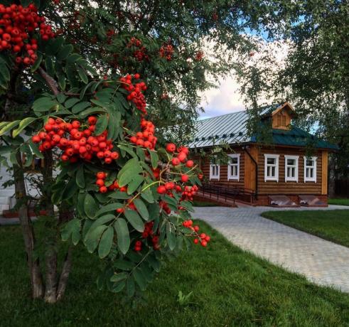 Rowan - en tradisjonell ornament av russiske landsbyer! (Foto fra playcast.ru)