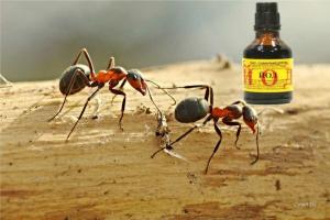 Jod ved å eliminere maur