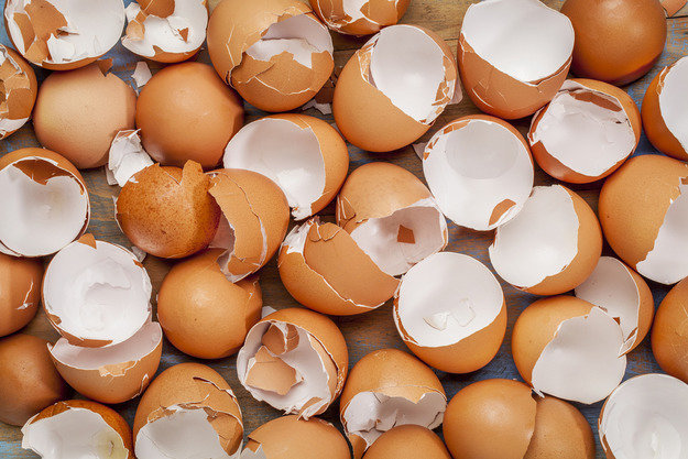 4 gode grunner til ikke å kaste egg skall | Hagestell og Hagebruk