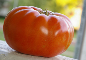 Biff tomater. Hva er. De beste karakterene
